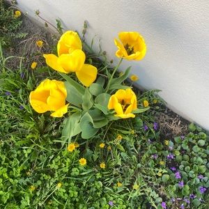 Meet your Posher, Amina